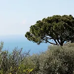 Marysa's House بيت ضيافة 3*