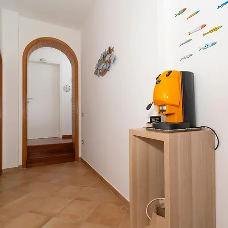 Marysa's House